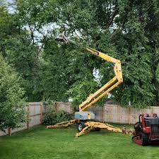 Landscape Design and Installation in Unalaska, AK
